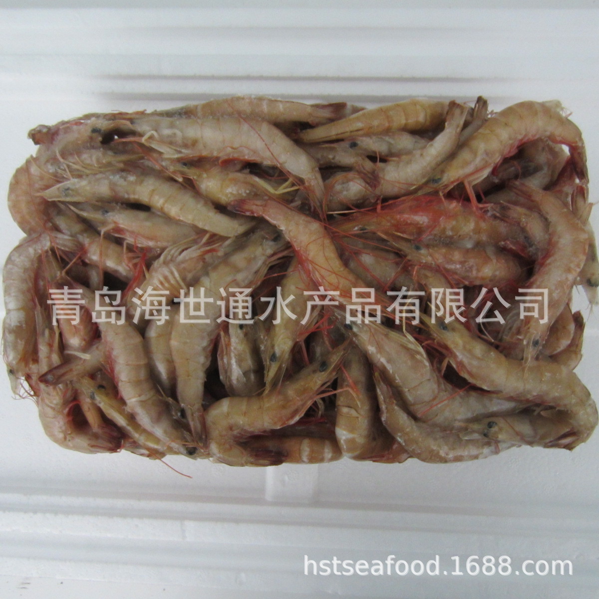 麻連頭蝦1.JPG