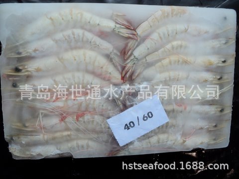 白蝦4060.jpg
