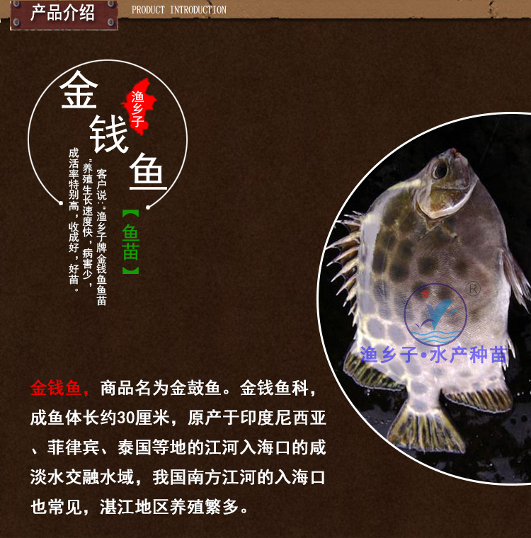 斑節(jié)對(duì)蝦苗產(chǎn)品介紹3