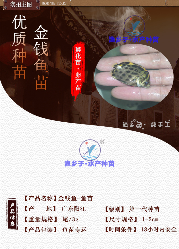 斑節(jié)對(duì)蝦苗-產(chǎn)品實(shí)圖2