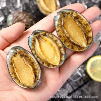 帶殼去肚小鮑魚(yú) 源豐速凍鮑魚(yú)現(xiàn)貨18頭真空鮑魚(yú)食材 大量現(xiàn)貨
