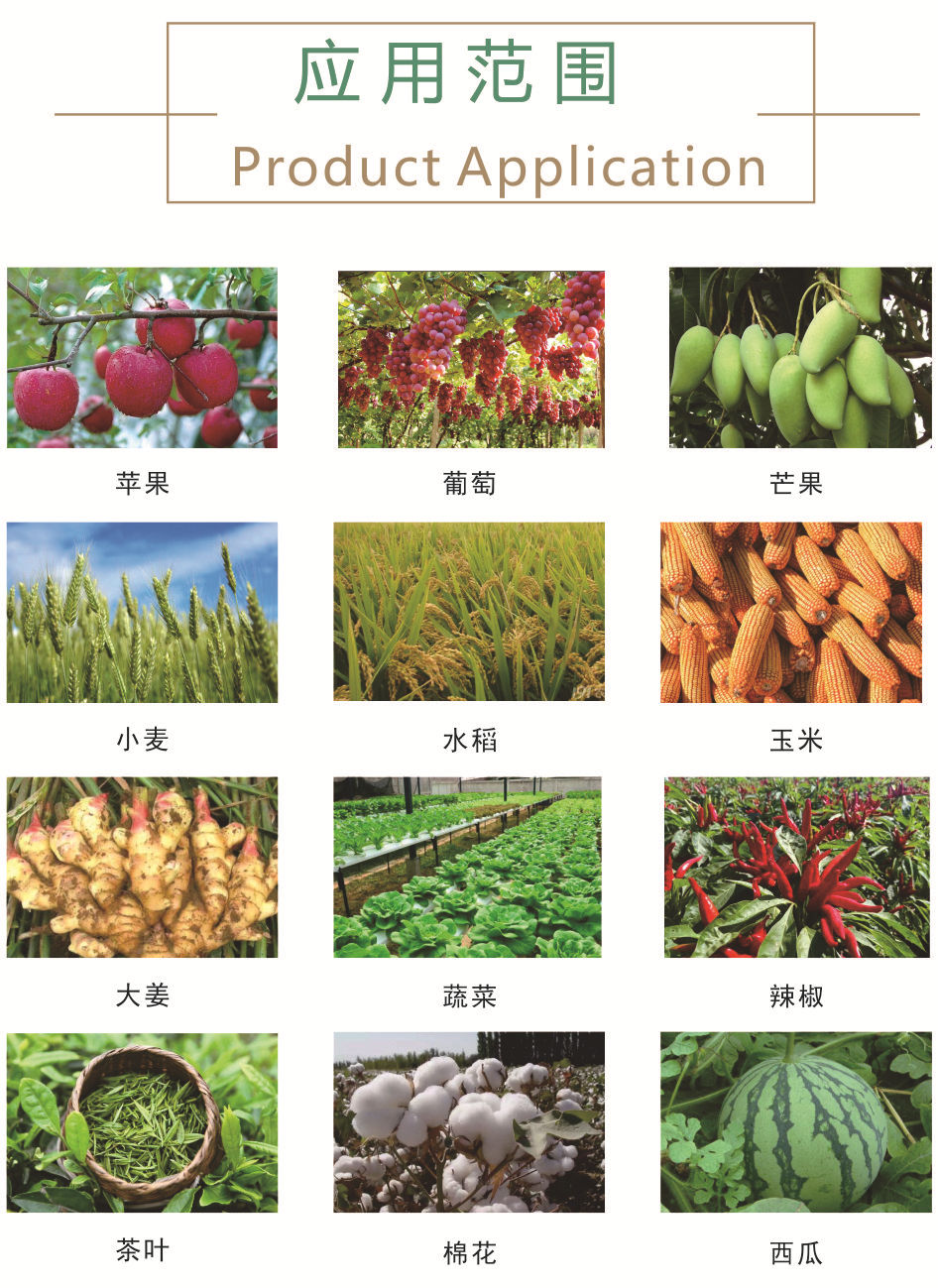 黃腐酸鉀應(yīng)用范圍.jpg