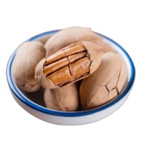 廠家批發(fā)新貨休閑食品優(yōu)質(zhì)中尖碧根果長(zhǎng)壽果散裝直批堅(jiān)果炒貨包郵