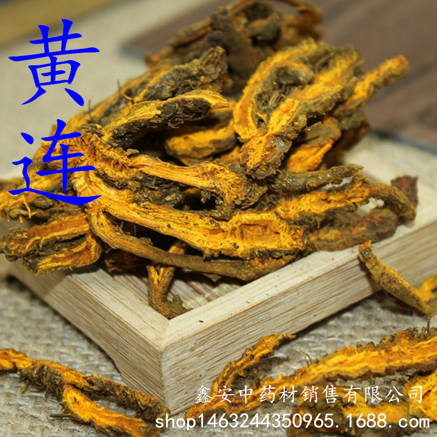 黃連_副本