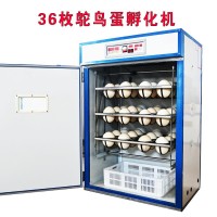 鴕鳥孵化機 全自動智能鴕鳥蛋孵化器 鴯鹋孵化箱家用珍禽卵設備