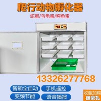 科裕蛇蛋烏龜?shù)芭佬袆游锶詣臃趸瘷C家用智能蛇卵孵化設備卵化器