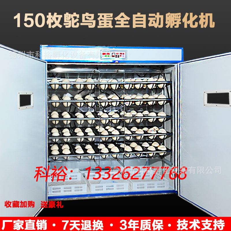 150枚鴕鳥