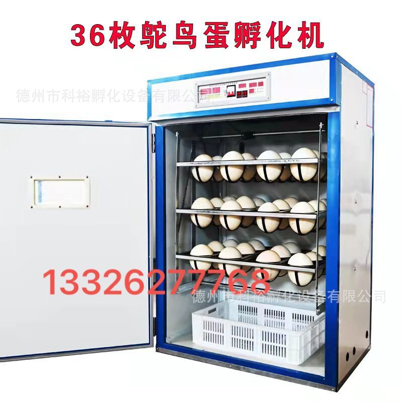 QQ圖片20220421094323