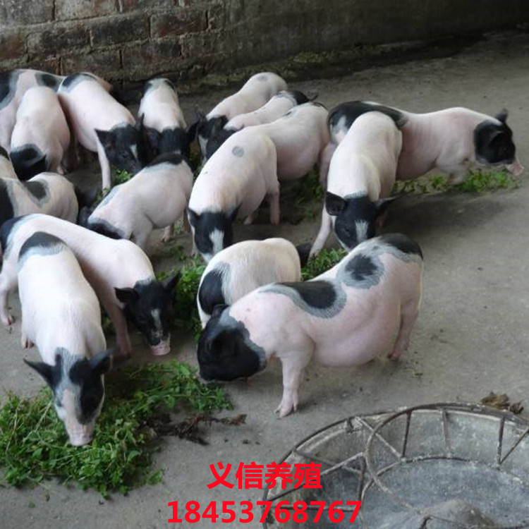 image.cnhnb_副本.jpg