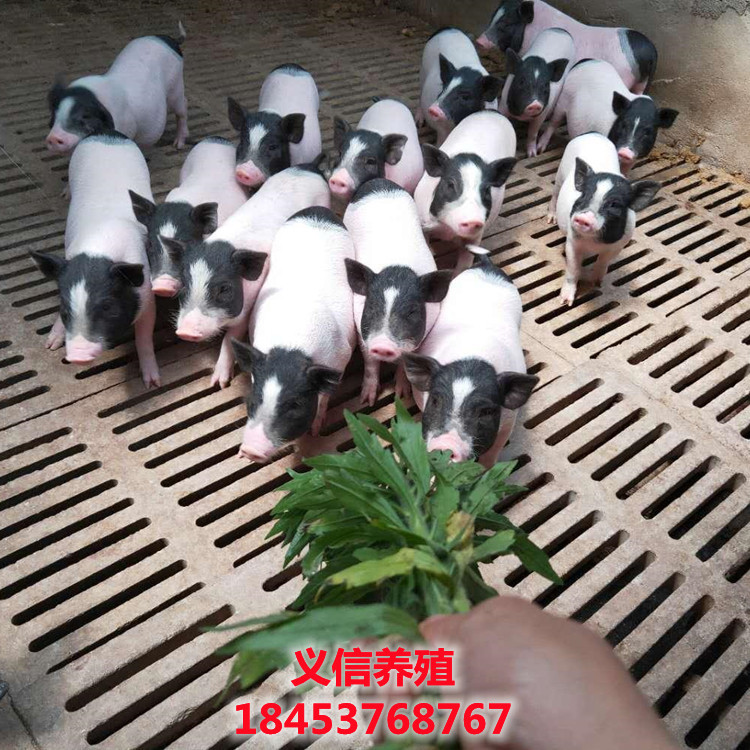 img6.21food_副本.jpg