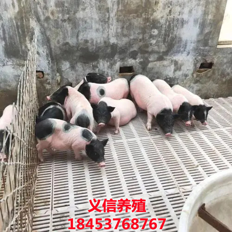 u=1521791662,405569965&fm=