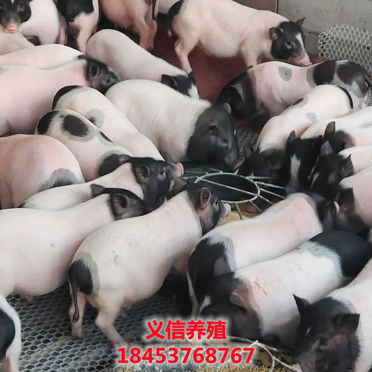 img7.21food_副本.jpg