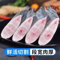新鮮大段舟山東海小眼帶魚段中段帶魚段大段去頭去尾海鮮水產(chǎn)批發(fā)