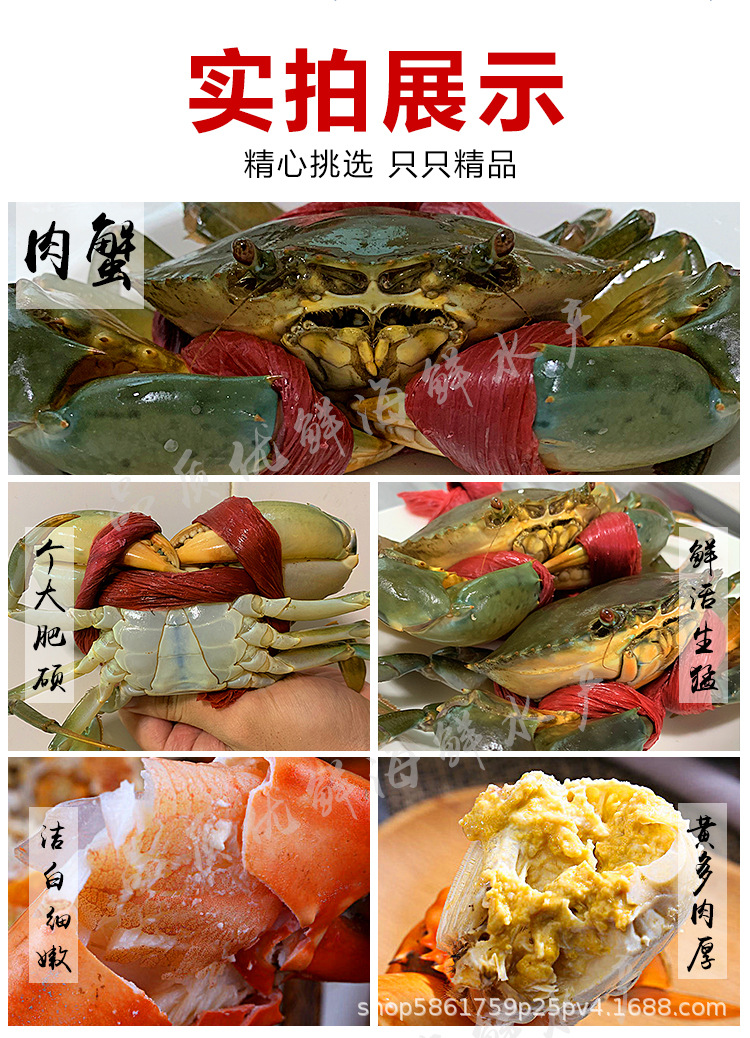 詳情圖5.jpg