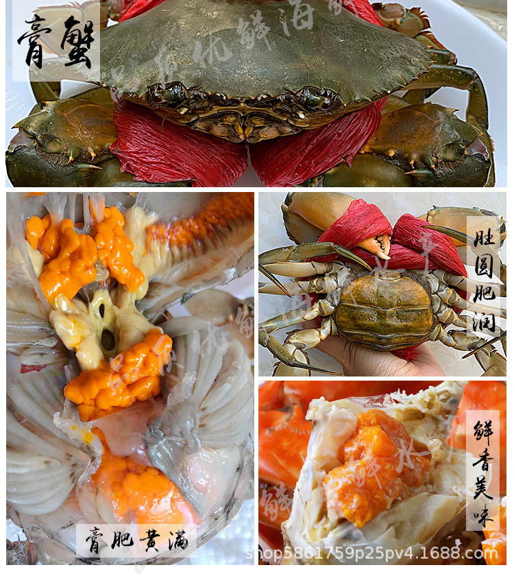 詳情圖6.jpg