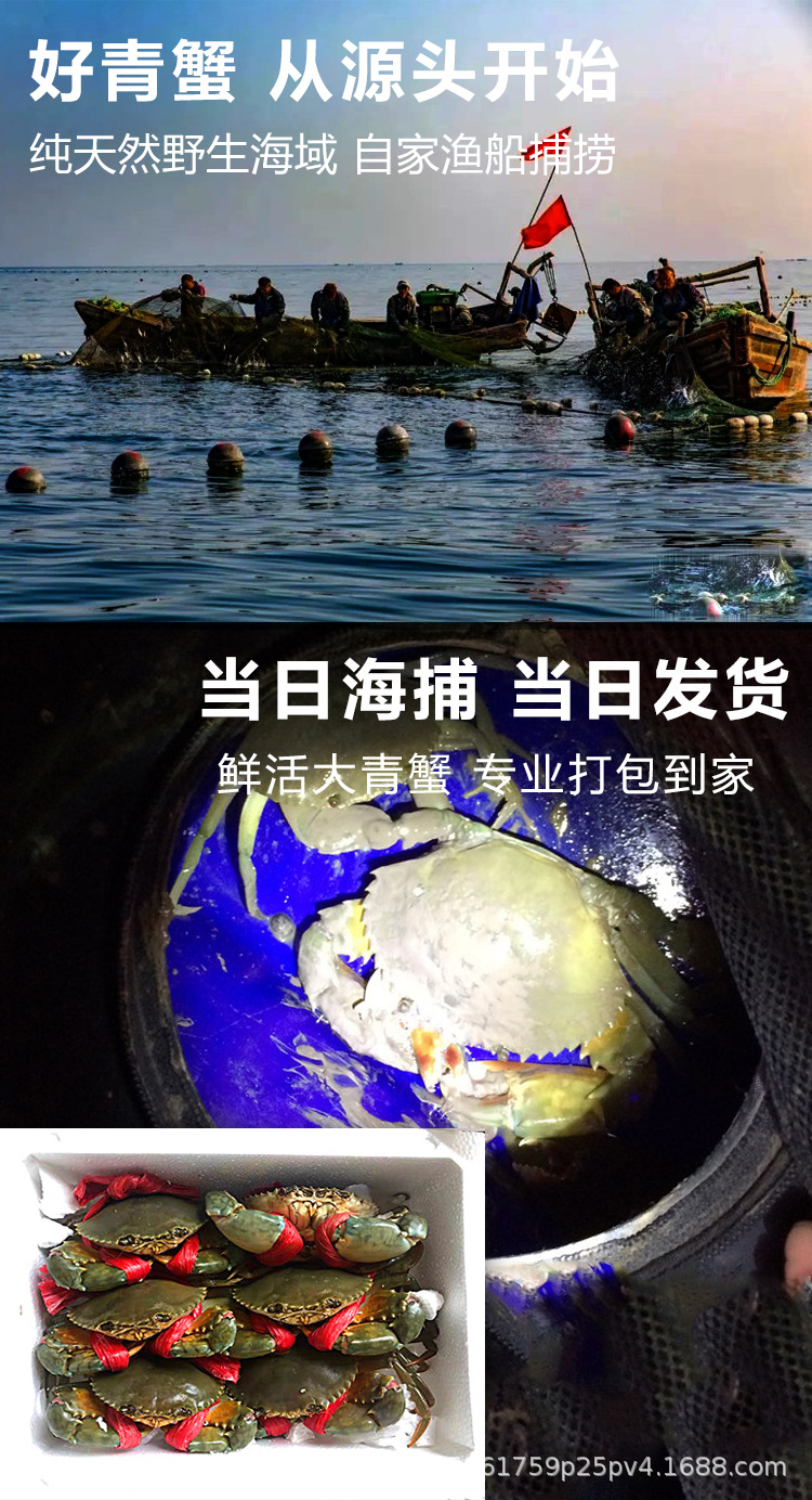 詳情圖7.jpg