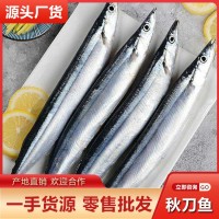 秋刀魚冷凍批發(fā) 當(dāng)天海捕鮮活海產(chǎn)品燒烤串串食材大排檔酒店供貨