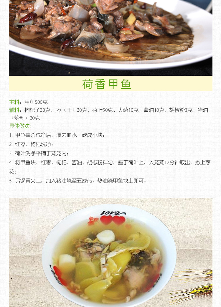 甲魚詳情