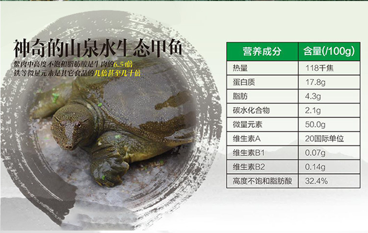 甲魚詳情