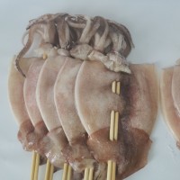 批發(fā)夜市小吃魷魚板魷魚串20斤鐵板魷魚須燒烤油炸大魷魚魷魚串
