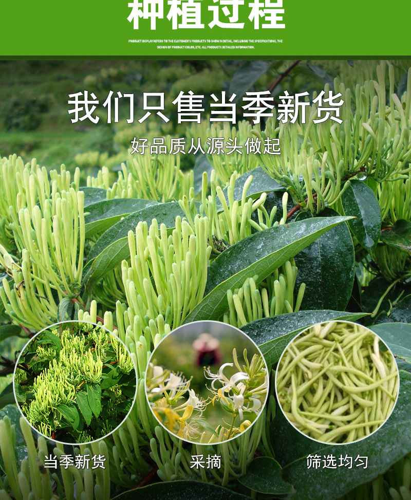 金銀花_05