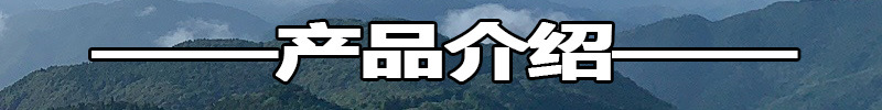 未標題-1
