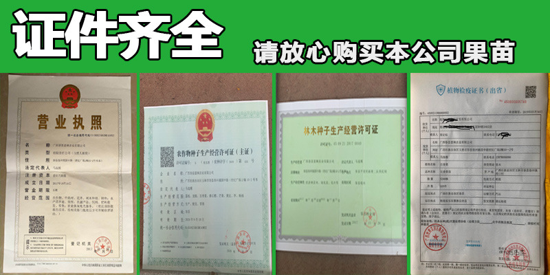 未標(biāo)題-6
