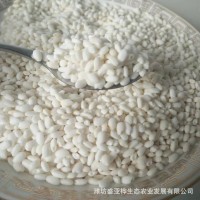 糯米低溫烘培熟糯米香濃糧食谷物熬粥軟糯香滑低溫烘焙熟五谷