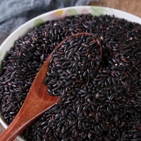 黑米500g 批發(fā) 真空包裝 黑香米 五谷雜糧 粗糧