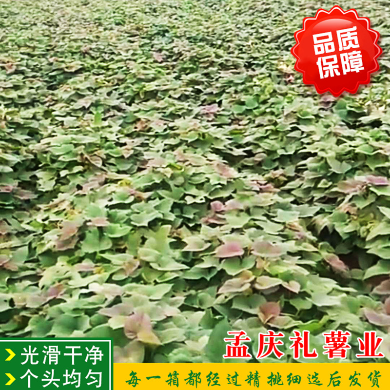 微信圖片_20180304171223.jpg
