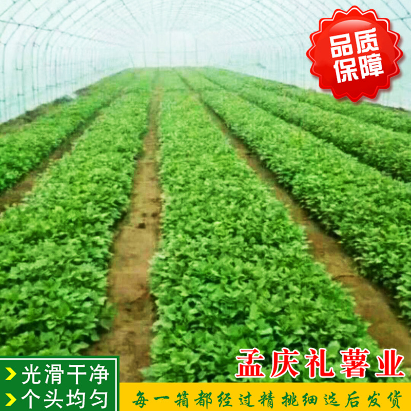 微信圖片_20180304171255.jpg