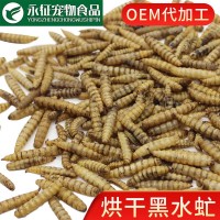 黑水虻微波烘干蟲干龜飼料魚糧鳥食倉鼠零食小寵飼料寵物零食