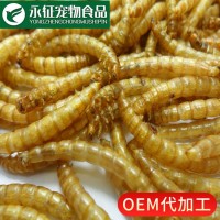 養(yǎng)殖場供面包蟲干批發(fā)黃粉蟲干 寵糧鳥糧飼料倉鼠零食觀賞魚龜糧