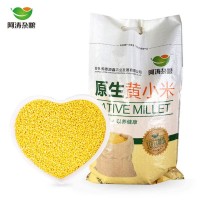 東北特產(chǎn) 農(nóng)家黃小米10斤/袋 寶寶米 月子米 原生黃小米廠(chǎng)家批發(fā)