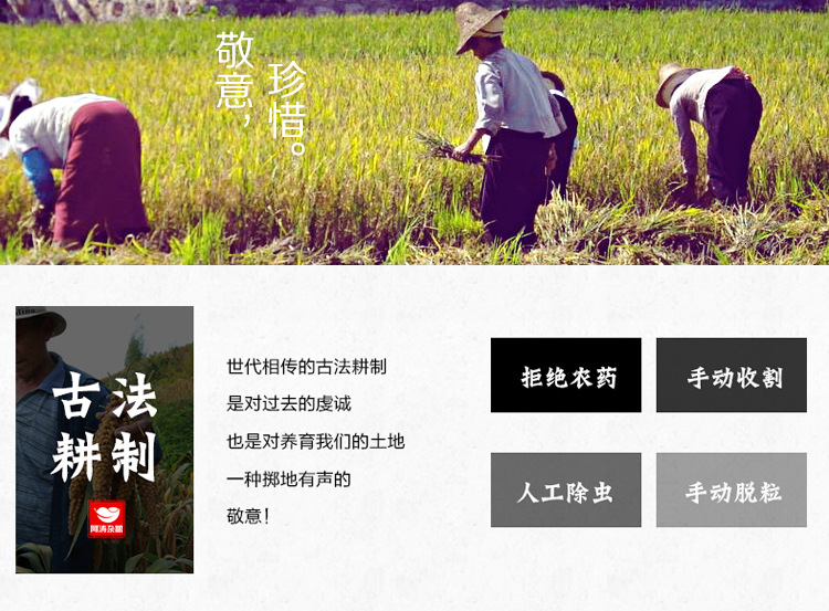詳情頁-金谷二號_05