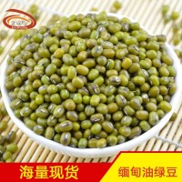 【廠家批發(fā)】金威瑪緬甸油綠豆明綠豆 綠豆沙綠豆粥原料