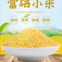 東北黃小米2020新米粗糧粥米小包裝吉林特產(chǎn)富硒小米粥月子米