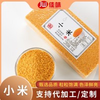 黃小米農(nóng)家小米粥月子米包裝500g批發(fā)米脂小米五谷雜糧廠家批發(fā)