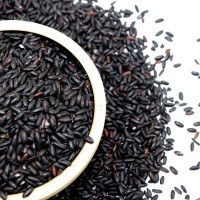 廠家直發(fā) 五谷豆?jié){原料低溫烘焙熟黑香米 現(xiàn)榨熱飲原料黑香米