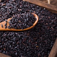 批發(fā)東北黑米1斤黑香米農(nóng)家紫米黑大米粥原料五谷雜糧一件代發(fā)