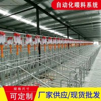 可定制新型飼喂機(jī)械 豬場(chǎng)自動(dòng)喂料系統(tǒng)畜牧養(yǎng)殖業(yè)自動(dòng)化飼喂設(shè)備
