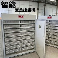 源頭廠家跨境全自動智能大中小型孵化家禽家用型雞鴨鵝蛋 孵蛋器