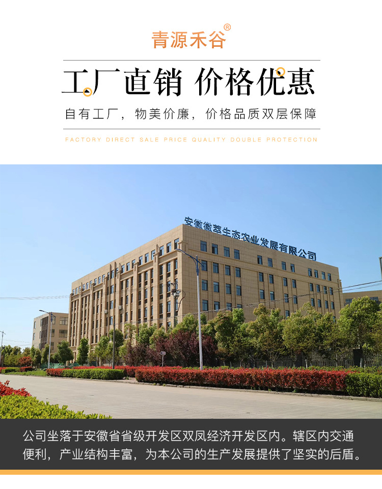 黑豆_12.jpg