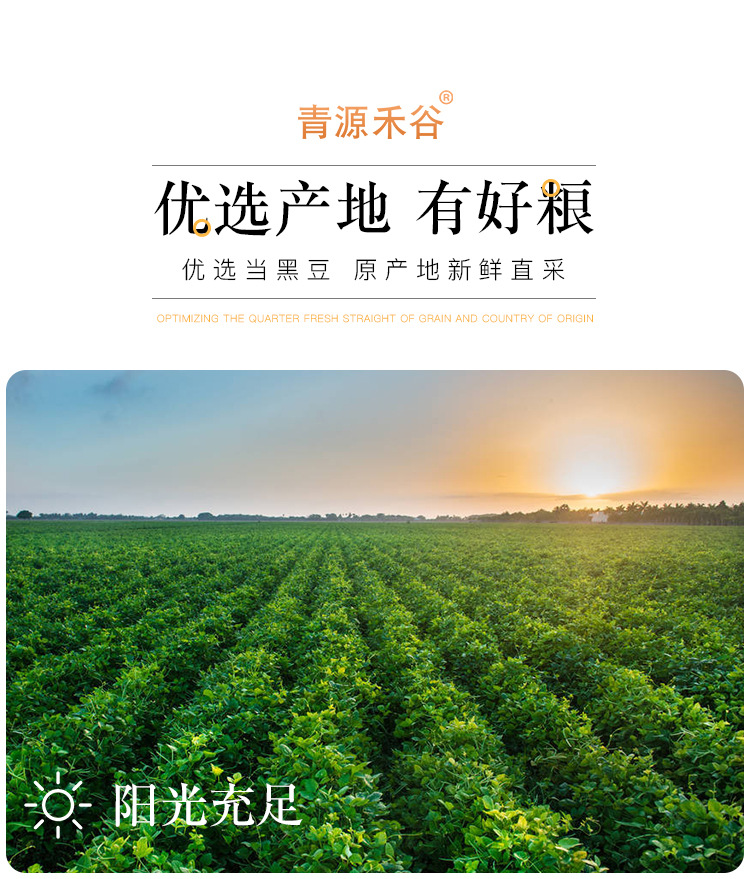 黑豆_10.jpg