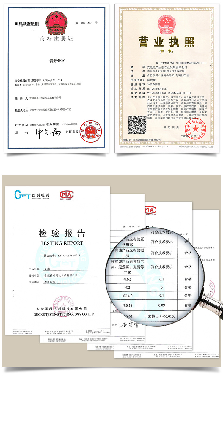 綠豆_18.jpg