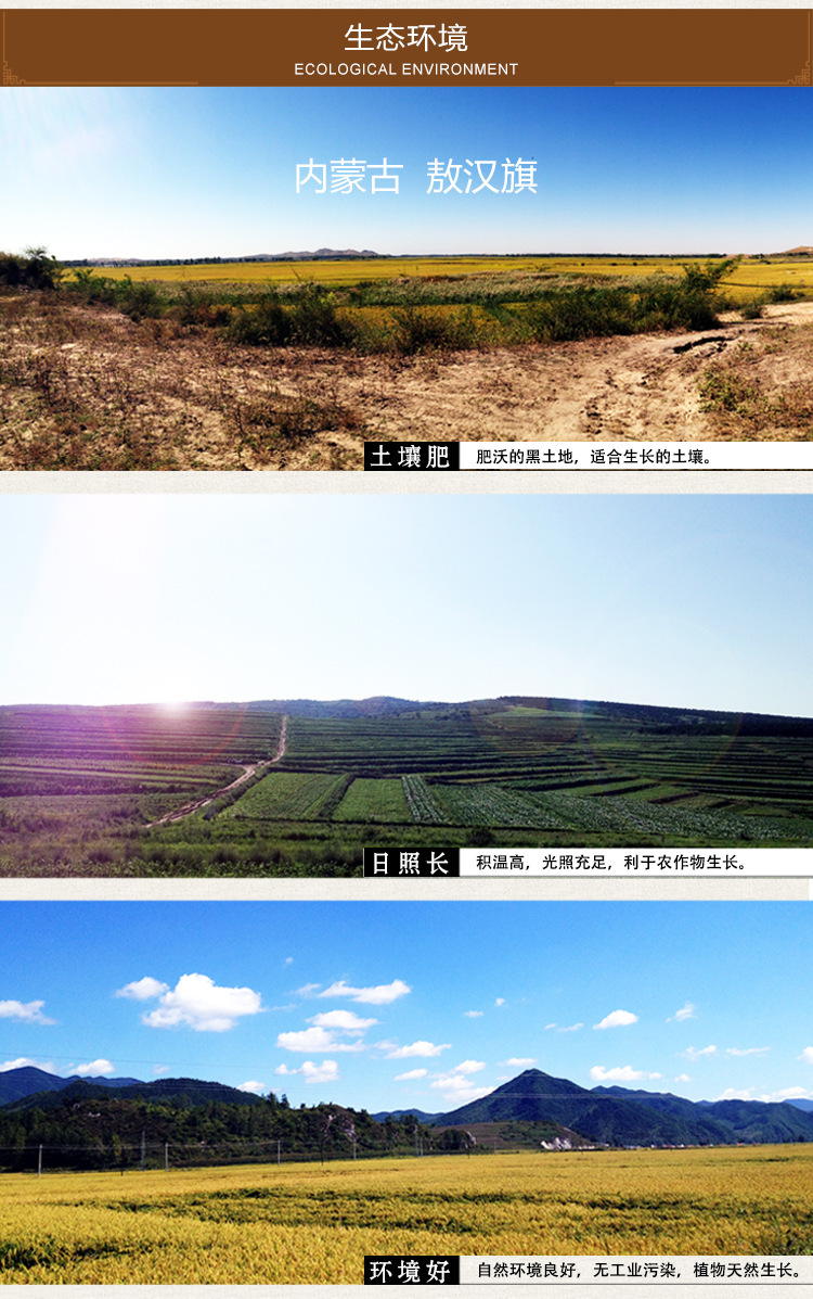 有機(jī)黃小米450g詳情修改_04.jpg