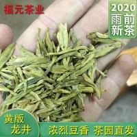 2022新茶明前黃版龍井茶一芽兩葉濃豆香綠茶茶葉茶園直銷龍井綠茶