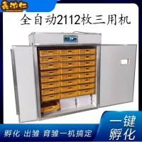 代發(fā)恒溫工業(yè)孵化機全自動跨境incubator 家用智能型雞蛋孵化器