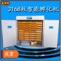 源頭廠家跨境全自動智能大型孵化機 incubator 家用型雞蛋孵化器