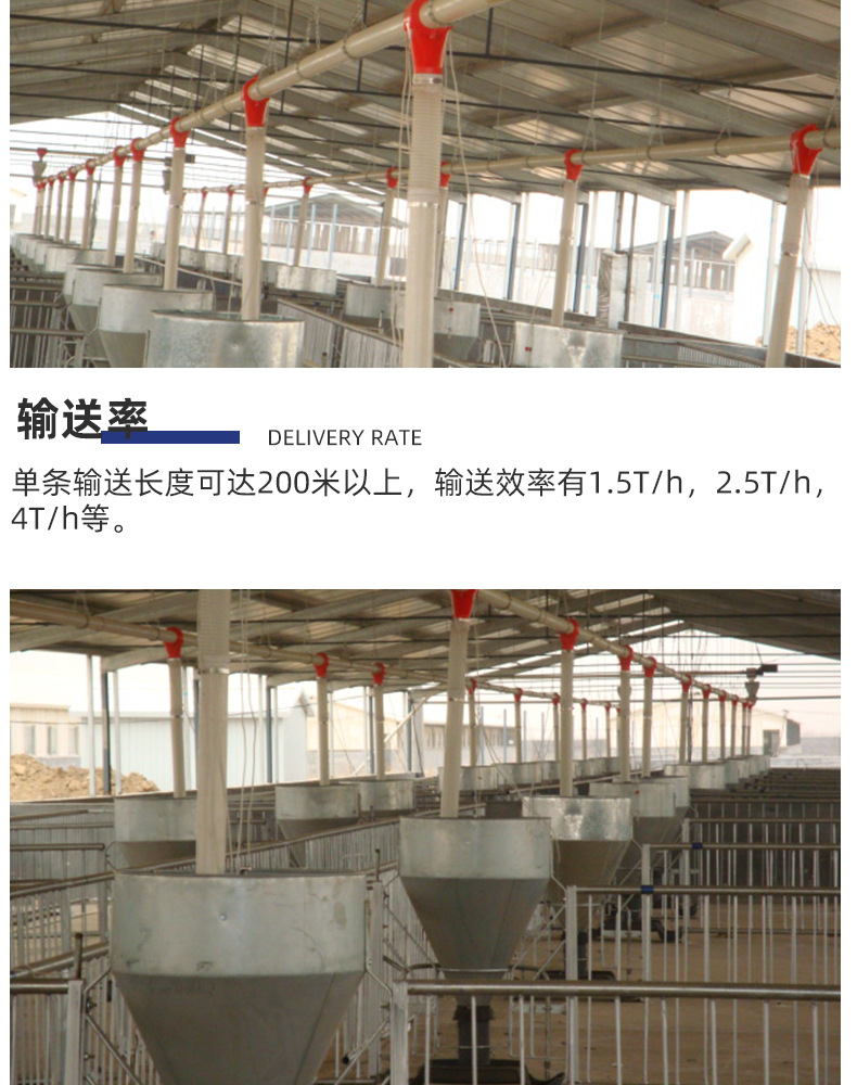 詳情_08.jpg